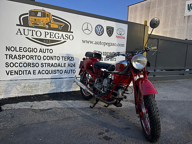 Guzzi