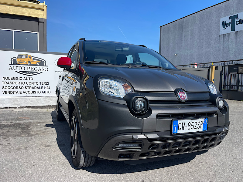Panda cross